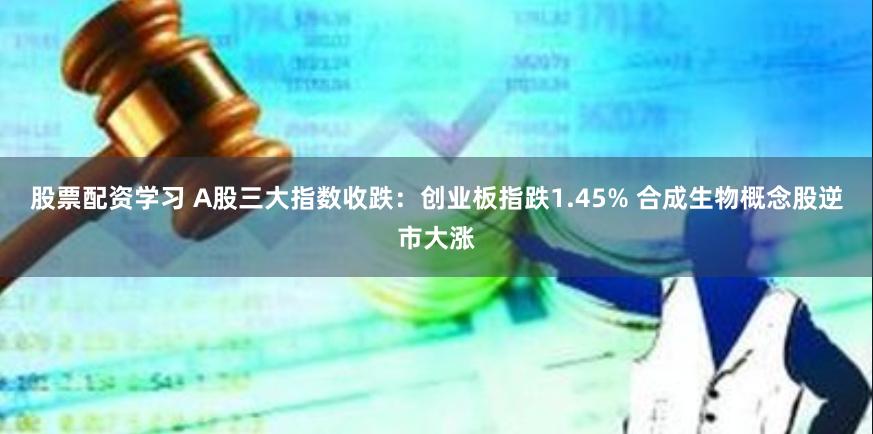 股票配资学习 A股三大指数收跌：创业板指跌1.45% 合成生物概念股逆市大涨