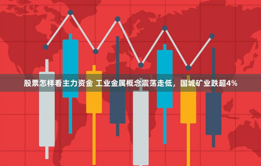 股票怎样看主力资金 工业金属概念震荡走低，国城矿业跌超4%