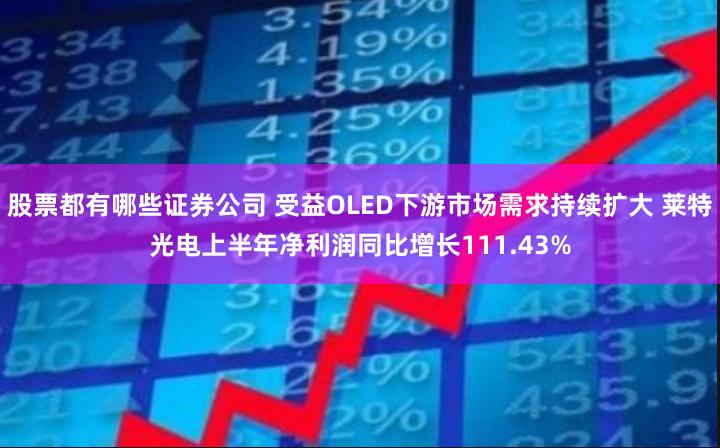 股票都有哪些证券公司 受益OLED下游市场需求持续扩大 莱特光电上半年净利润同比增长111.43%