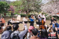 江苏无锡荣膺“世界音乐之